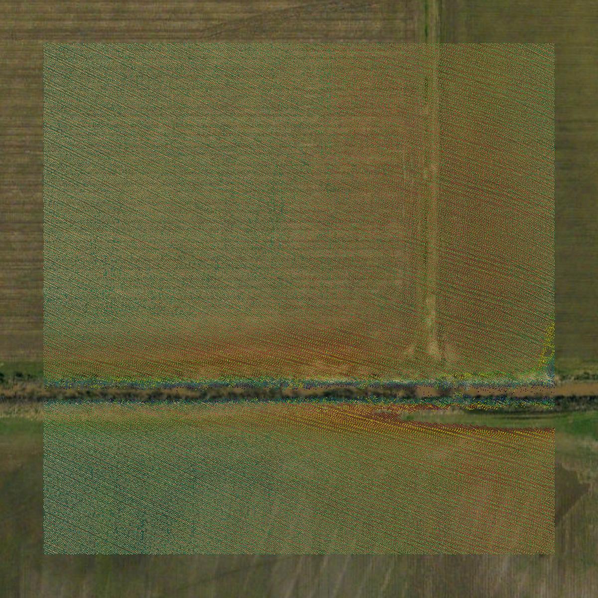 This image shows a LiDAR point cloud in Pemiscot County created using GIS data in Equator.
