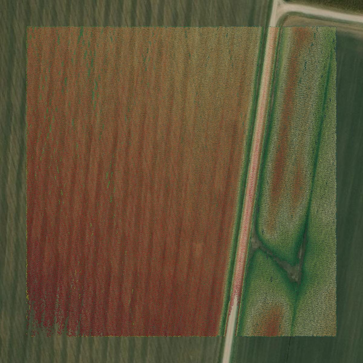 This image shows a LiDAR point cloud in Perry County created using GIS data in Equator.