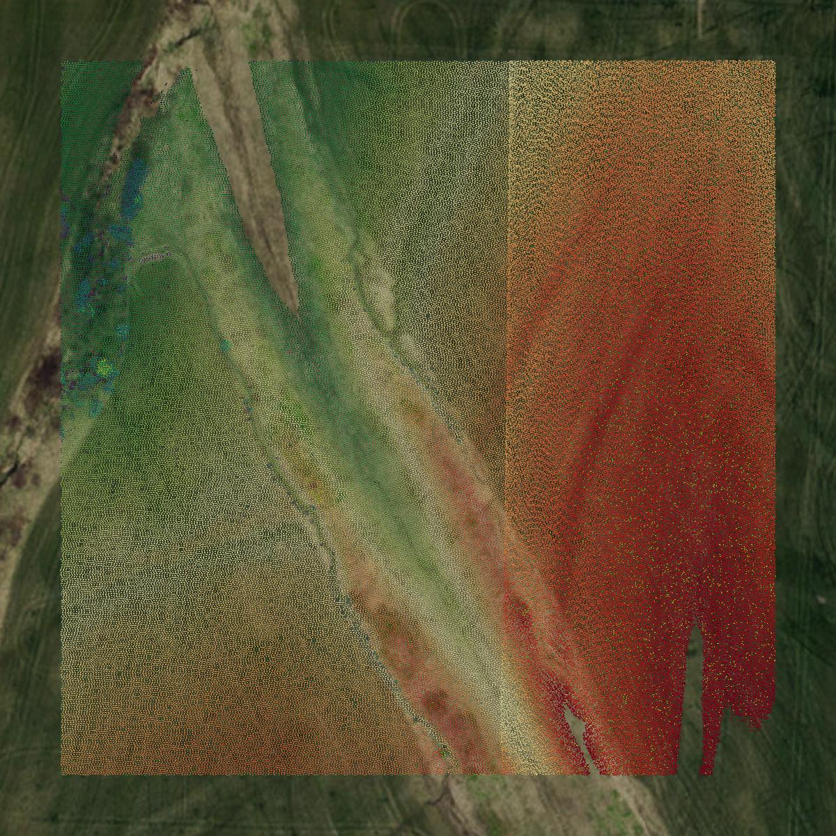 This image shows a LiDAR point cloud in Pettis County created using GIS data in Equator.