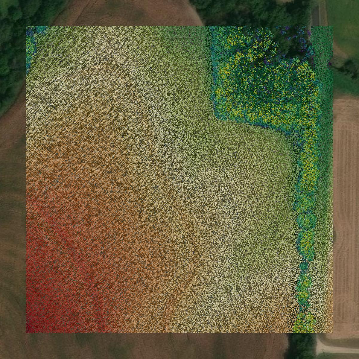 This image shows a LiDAR point cloud in Pettis County created using GIS data in Equator.