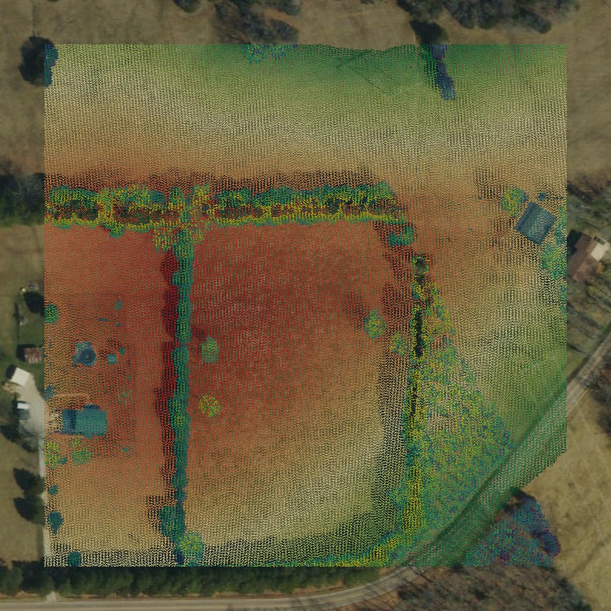 This image shows a LiDAR point cloud in Phelps County created using GIS data in Equator.