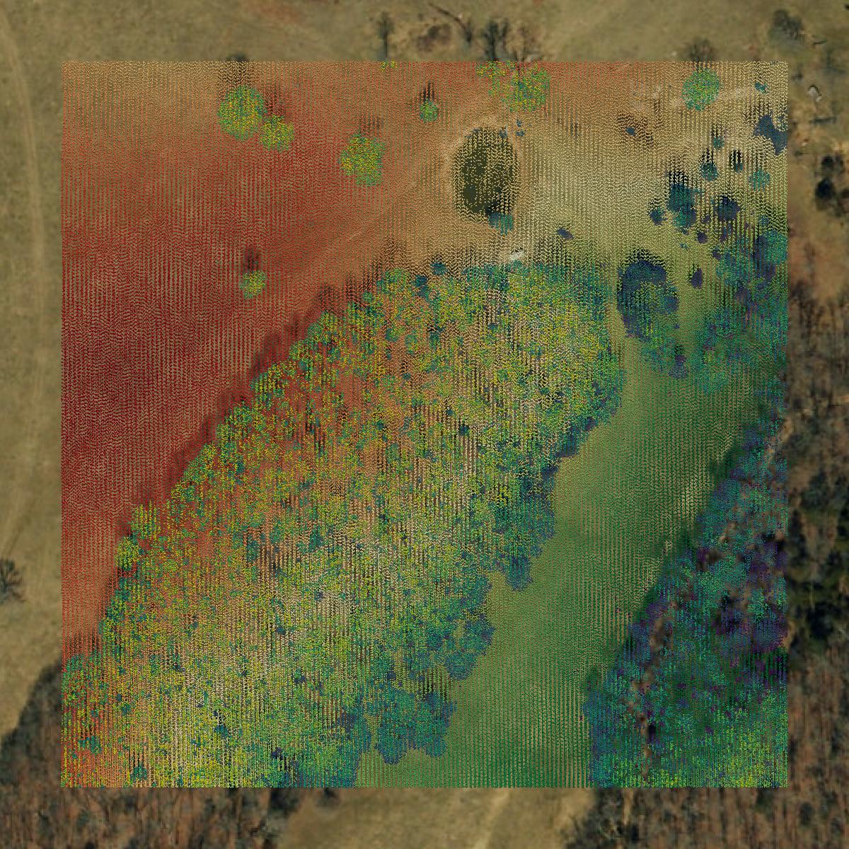 This image shows a LiDAR point cloud in Phelps County created using GIS data in Equator.