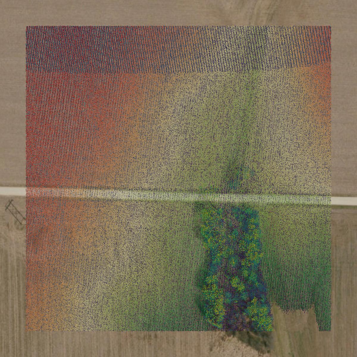 This image shows a LiDAR point cloud in Pike County created using GIS data in Equator.