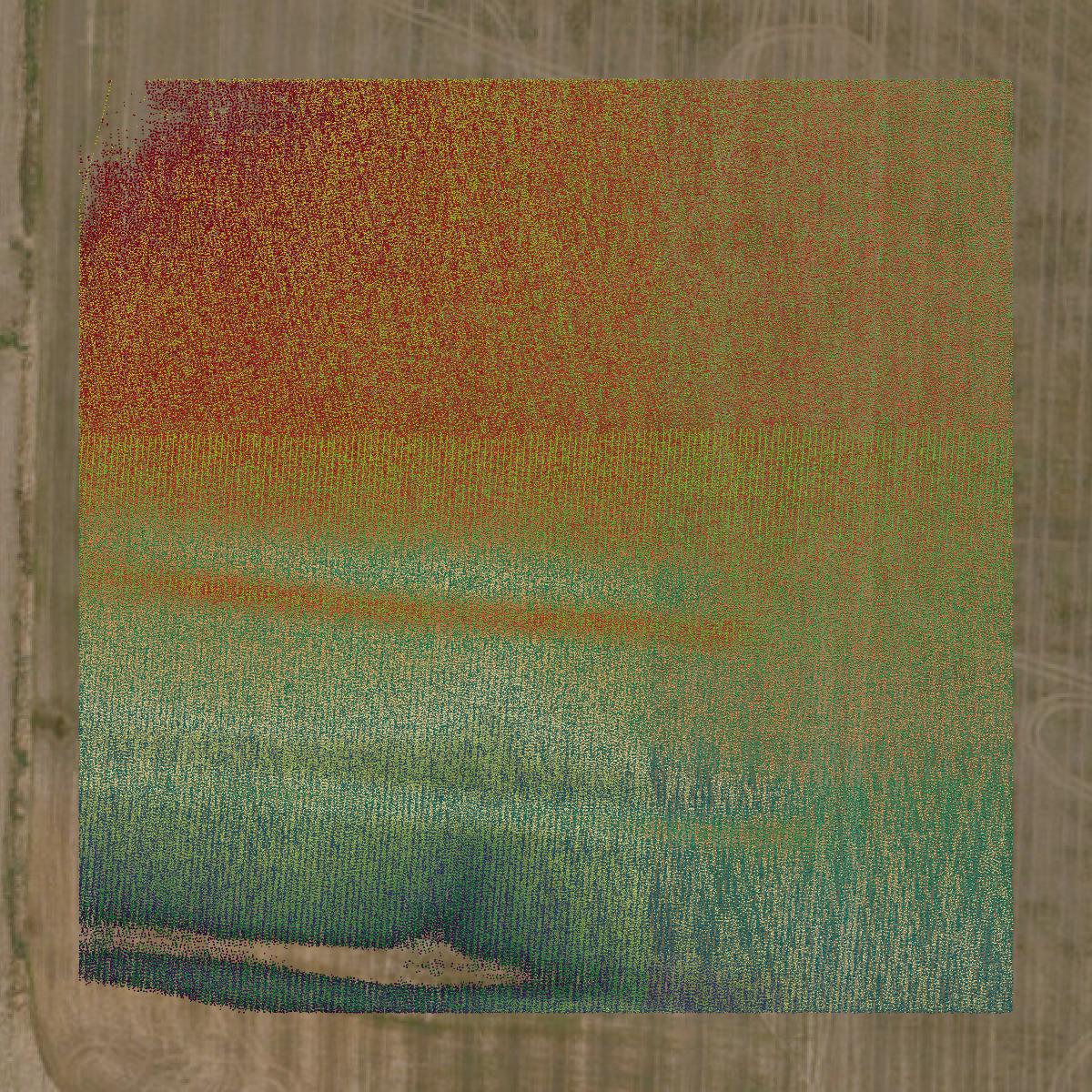 This image shows a LiDAR point cloud in Pike County created using GIS data in Equator.