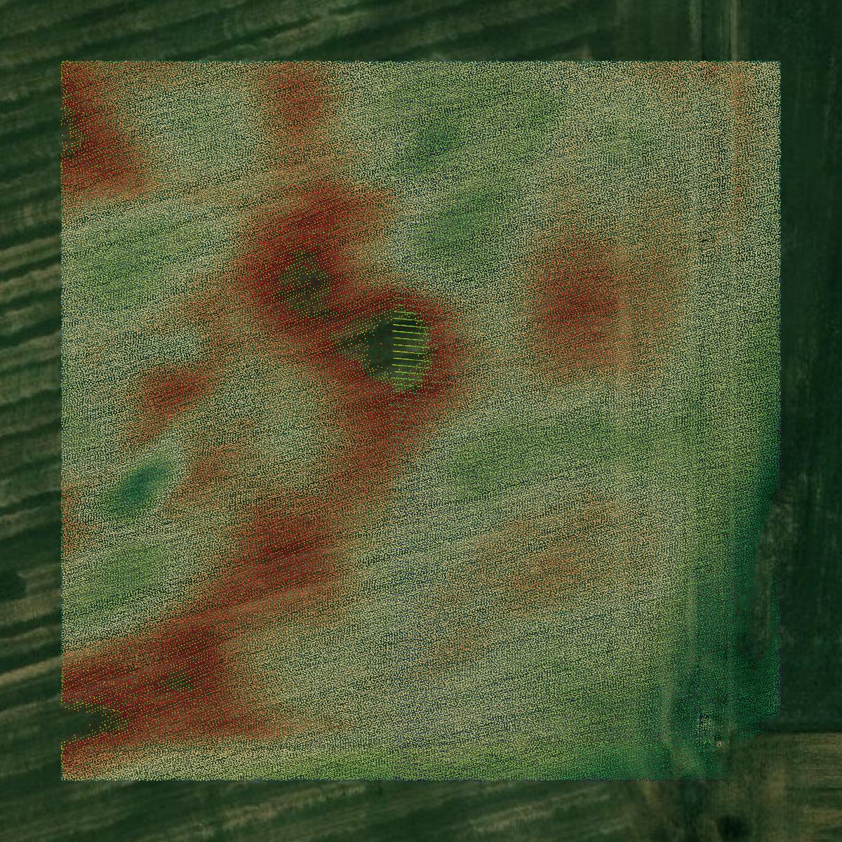 This image shows a LiDAR point cloud in Platte County created using GIS data in Equator.