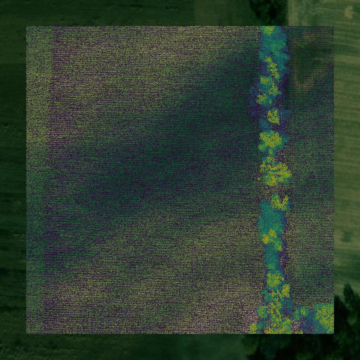 This image shows a LiDAR point cloud in Platte County created using GIS data in Equator.