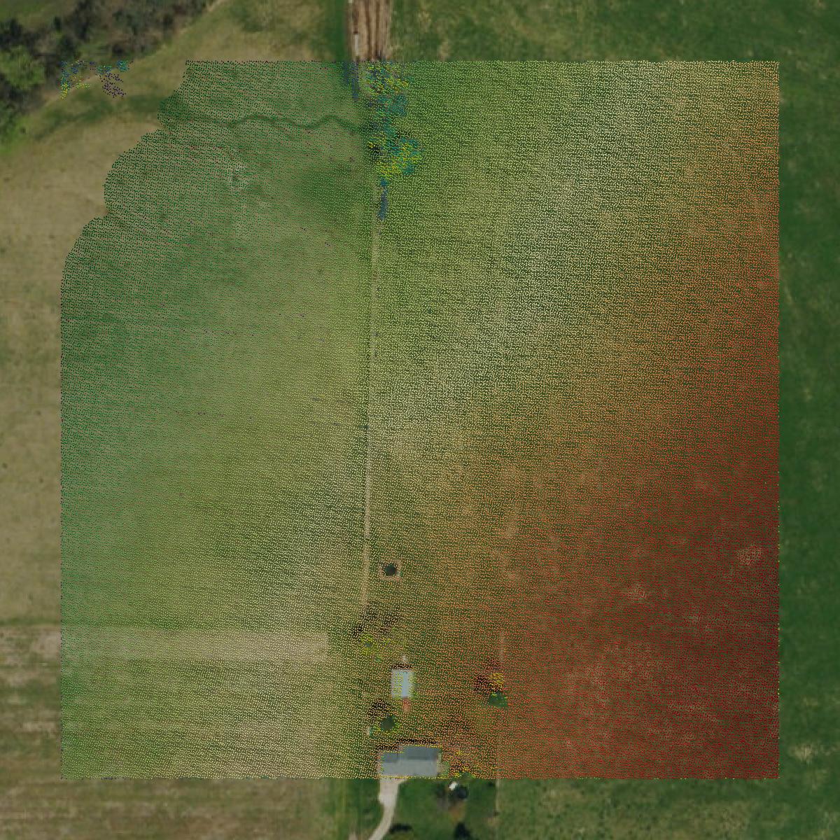 This image shows a LiDAR point cloud in Polk County created using GIS data in Equator.