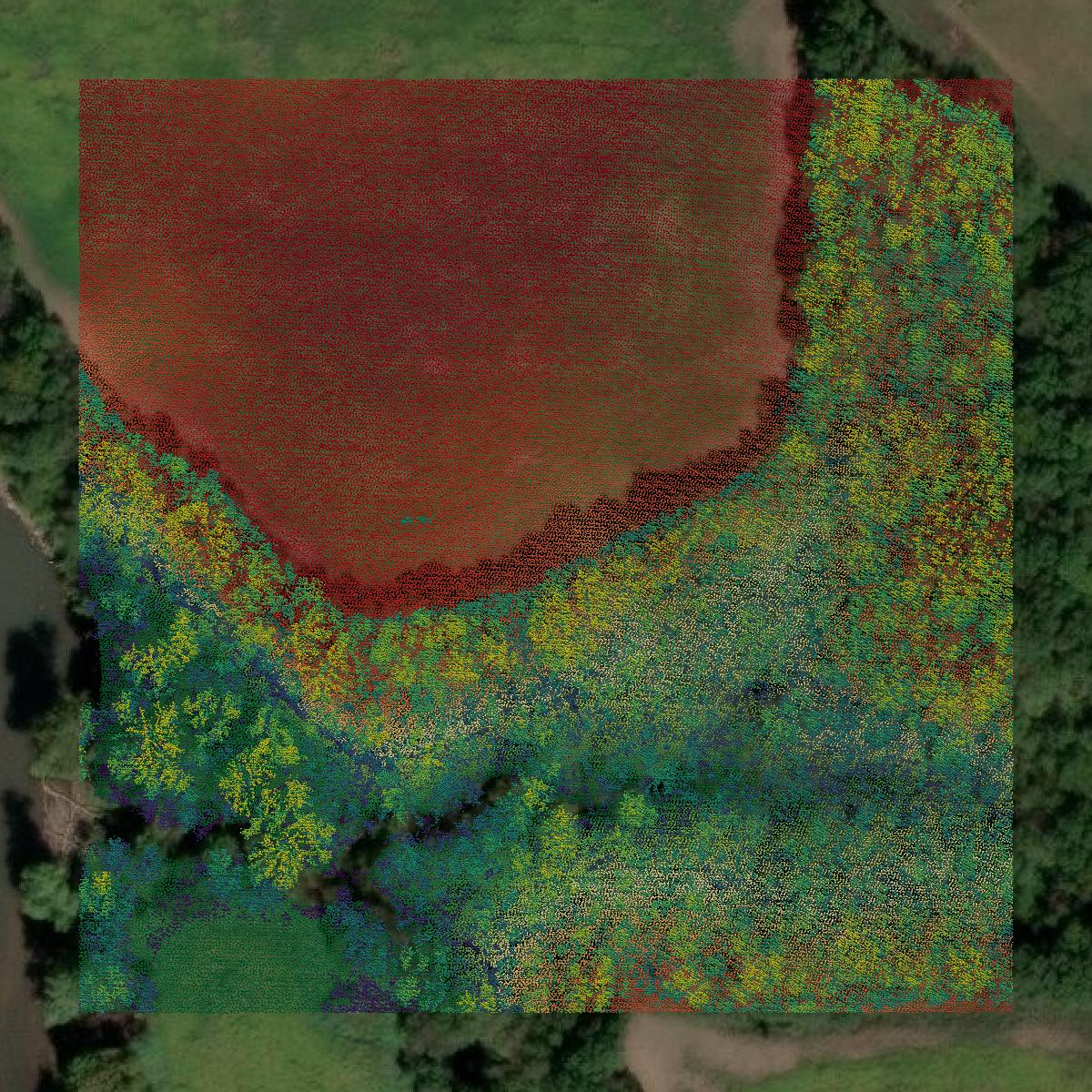 This image shows a LiDAR point cloud in Polk County created using GIS data in Equator.