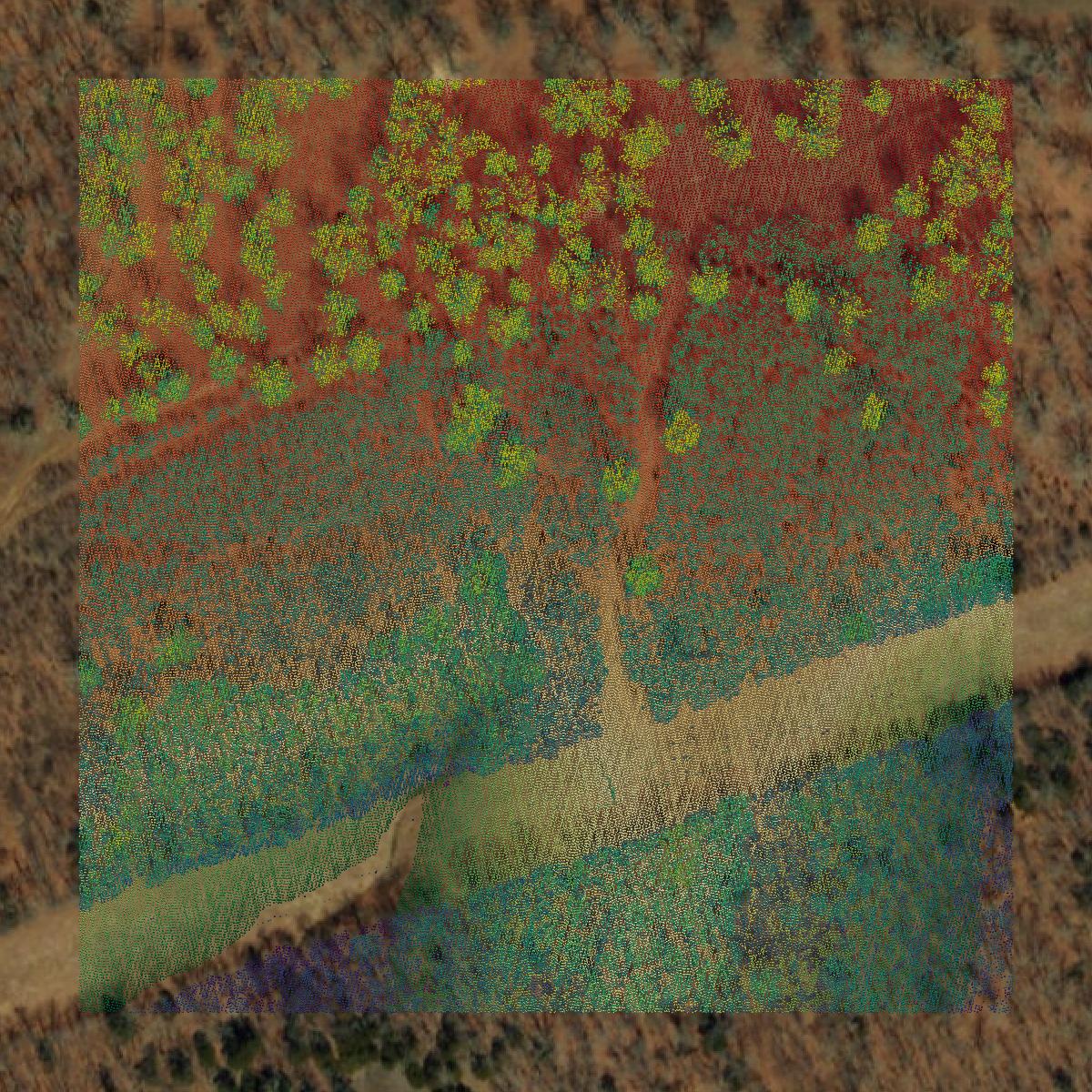 This image shows a LiDAR point cloud in Pulaski County created using GIS data in Equator.