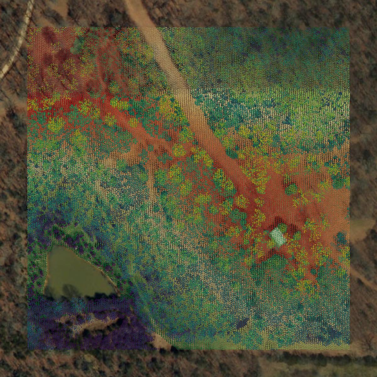 This image shows a LiDAR point cloud in Pulaski County created using GIS data in Equator.