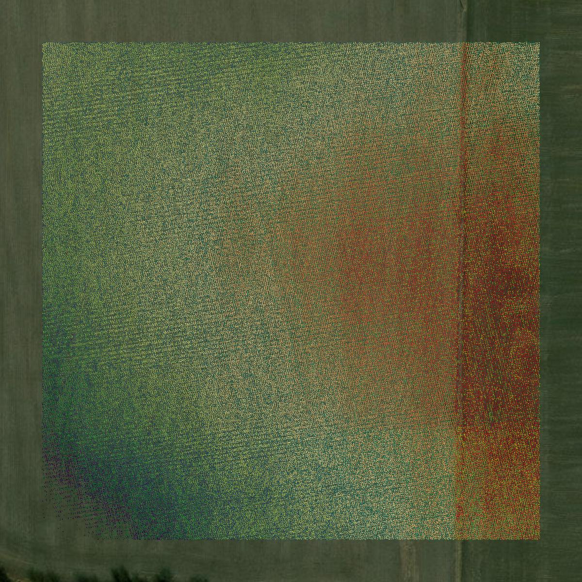 This image shows a LiDAR point cloud in Ralls County created using GIS data in Equator.