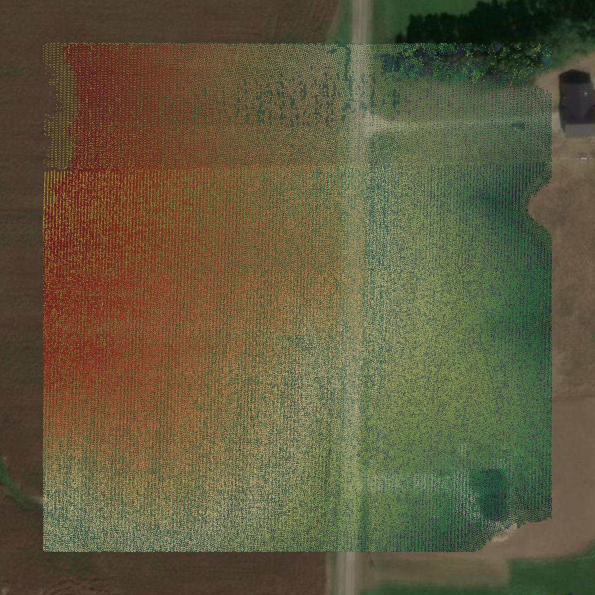 This image shows a LiDAR point cloud in Randolph County created using GIS data in Equator.