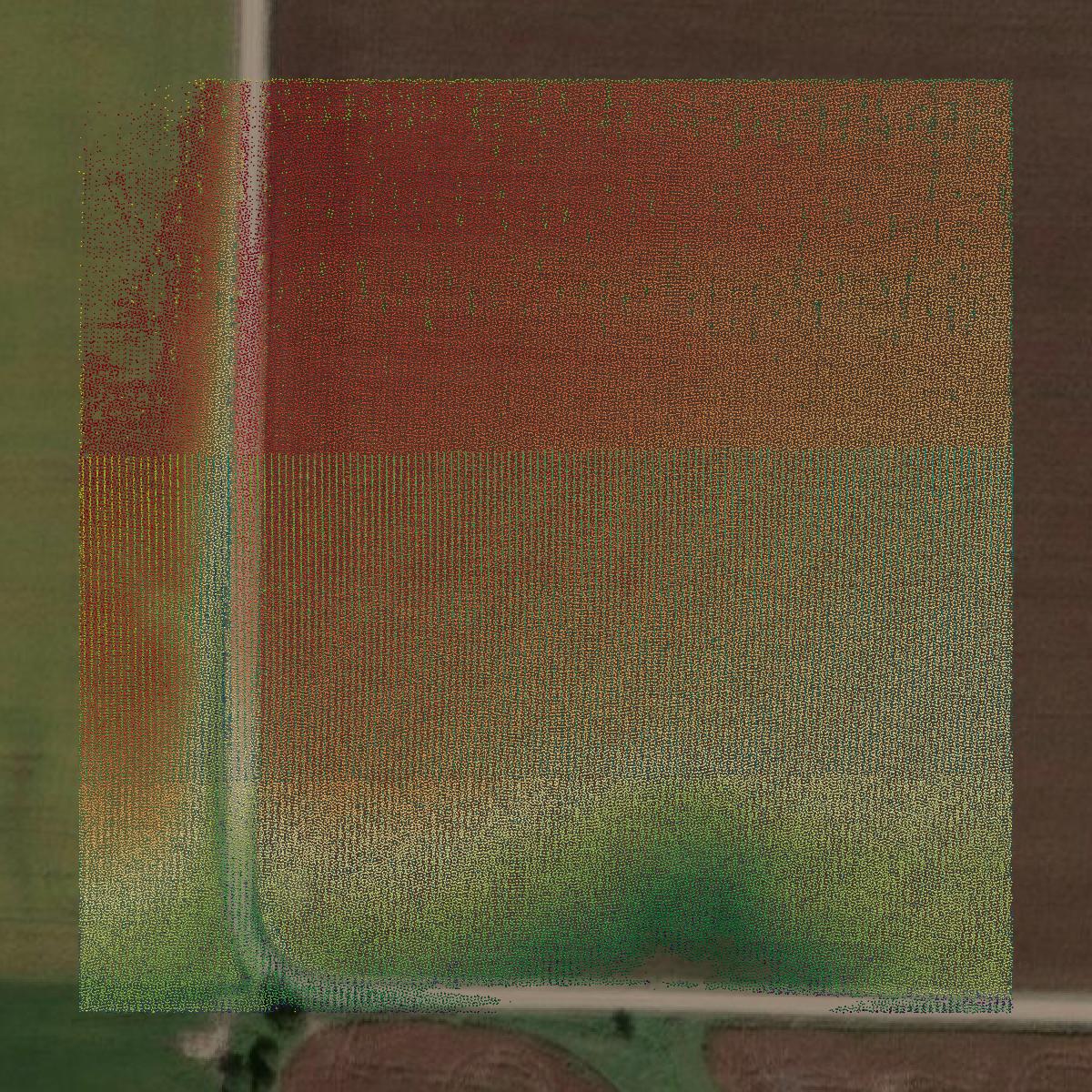 This image shows a LiDAR point cloud in Randolph County created using GIS data in Equator.