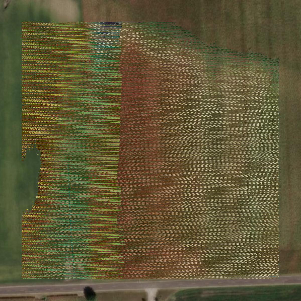 This image shows a LiDAR point cloud in Ray County created using GIS data in Equator.