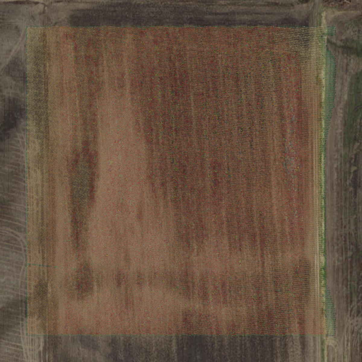 This image shows a LiDAR point cloud in Ray County created using GIS data in Equator.