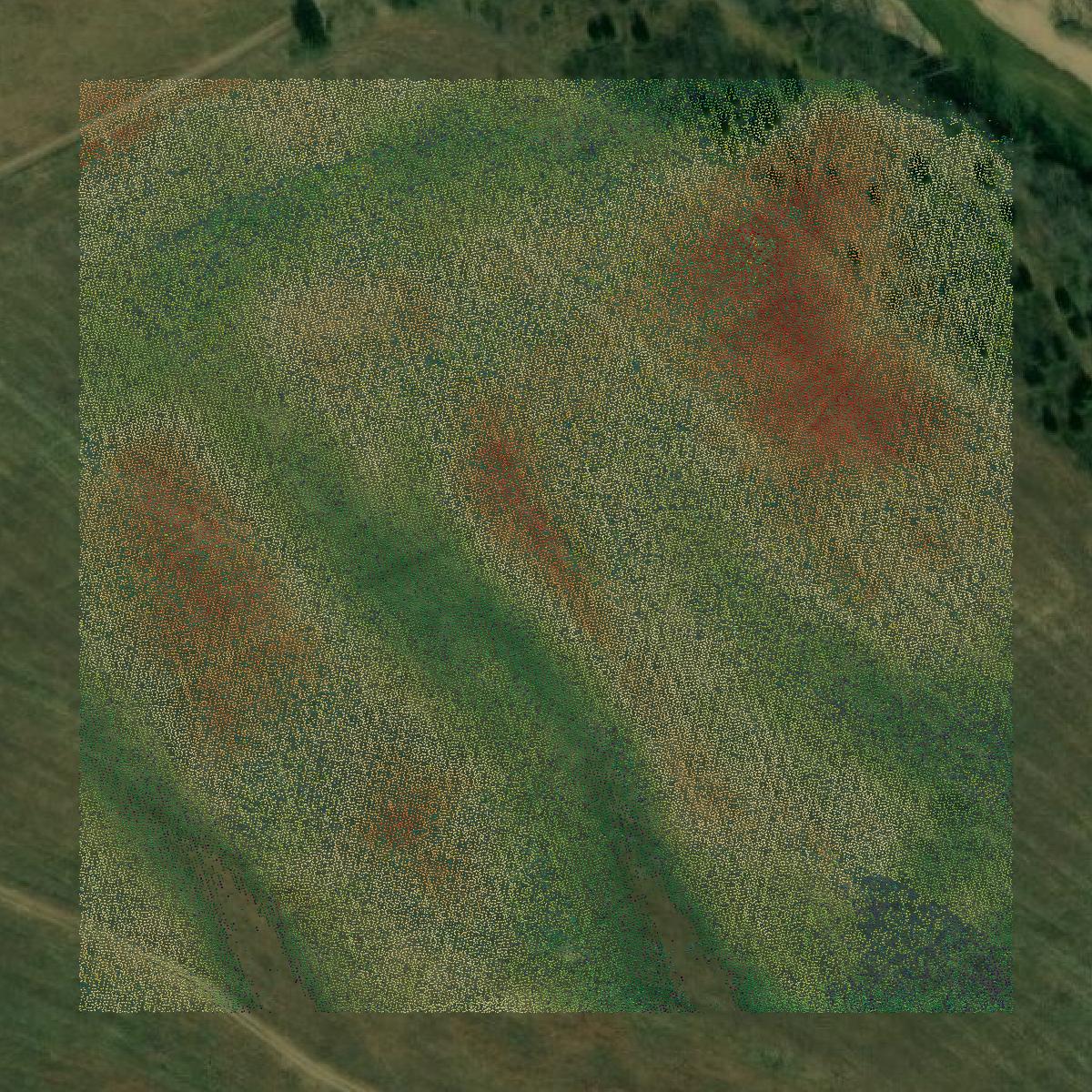 This image shows a LiDAR point cloud in Reynolds County created using GIS data in Equator.