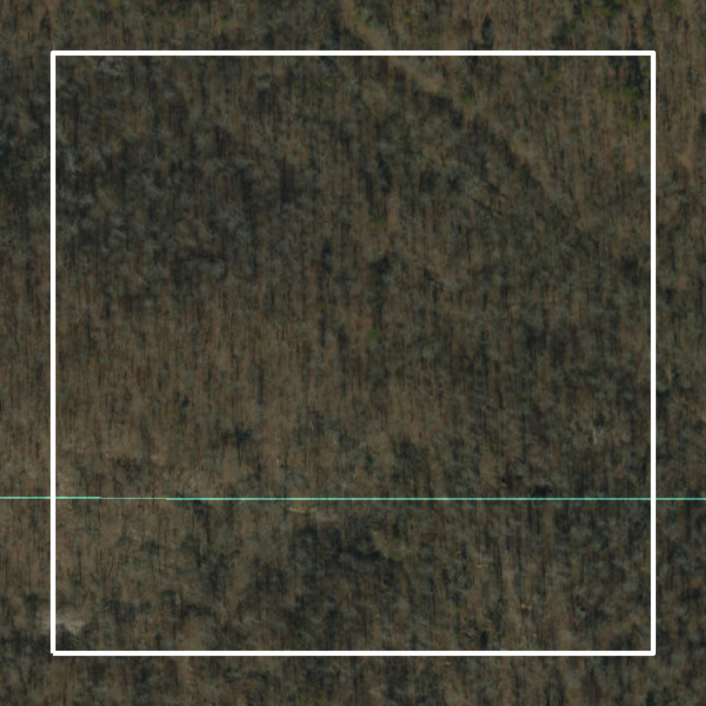 This image shows parcel and building data in Ripley County created using GIS data in Equator.