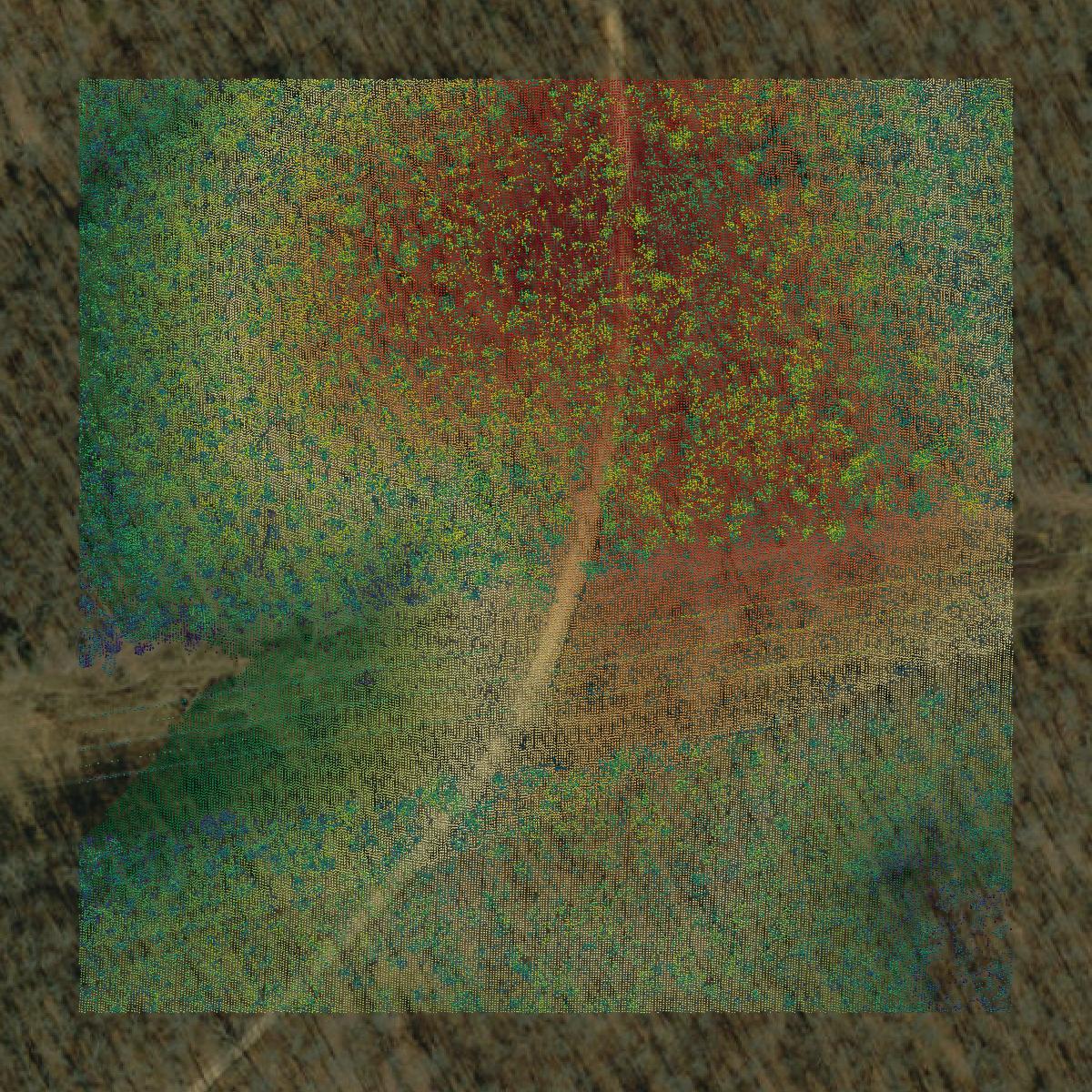 This image shows a LiDAR point cloud in Ripley County created using GIS data in Equator.