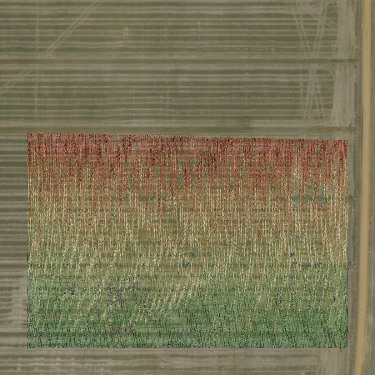 This image shows a LiDAR point cloud in Ripley County created using GIS data in Equator.