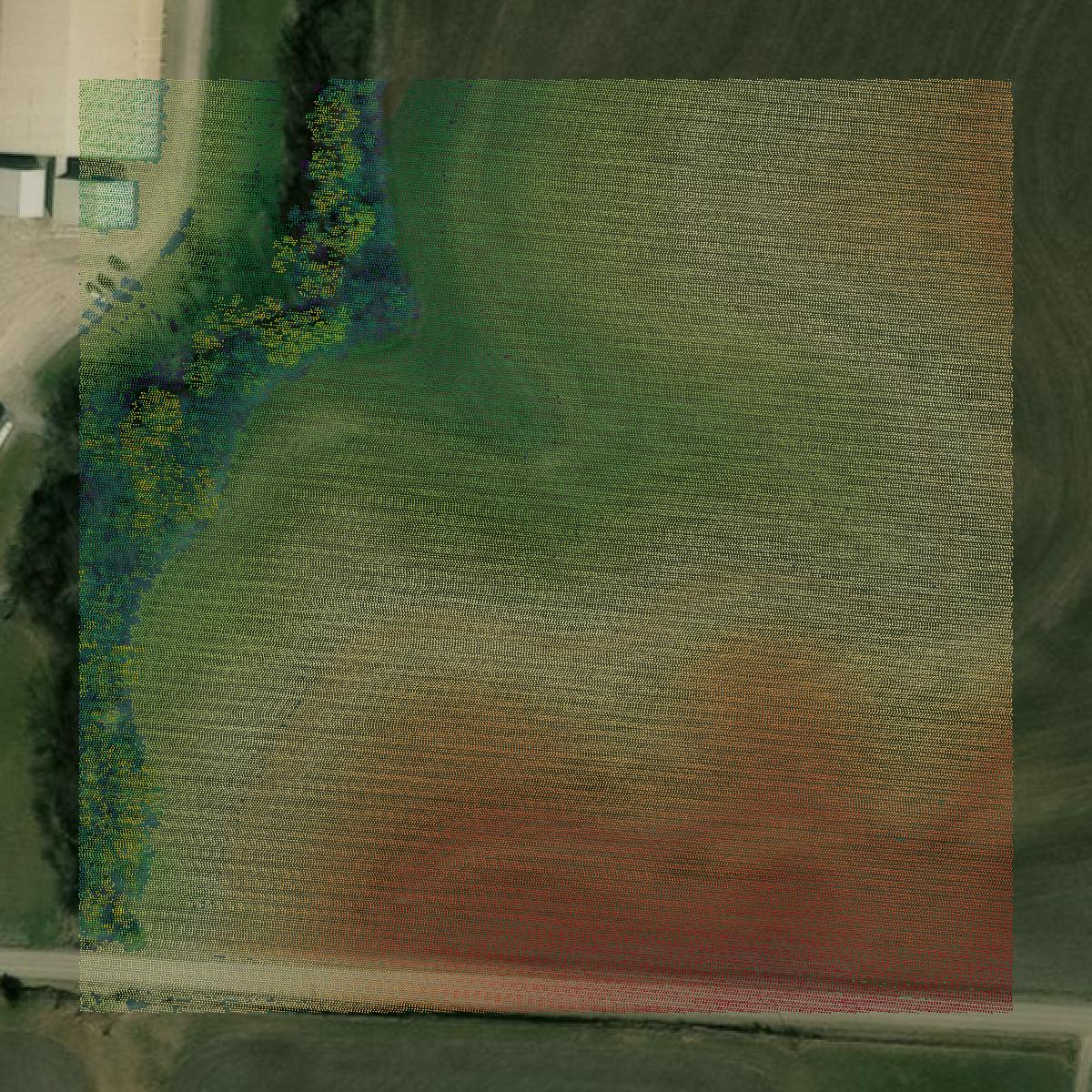This image shows a LiDAR point cloud in Saline County created using GIS data in Equator.
