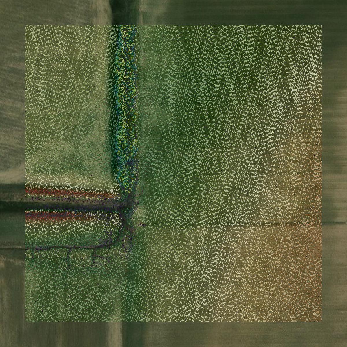 This image shows a LiDAR point cloud in Scott County created using GIS data in Equator.