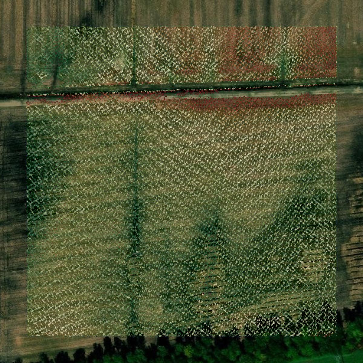 This image shows a LiDAR point cloud in Scott County created using GIS data in Equator.