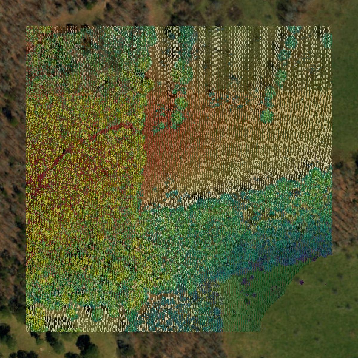This image shows a LiDAR point cloud in Shannon County created using GIS data in Equator.