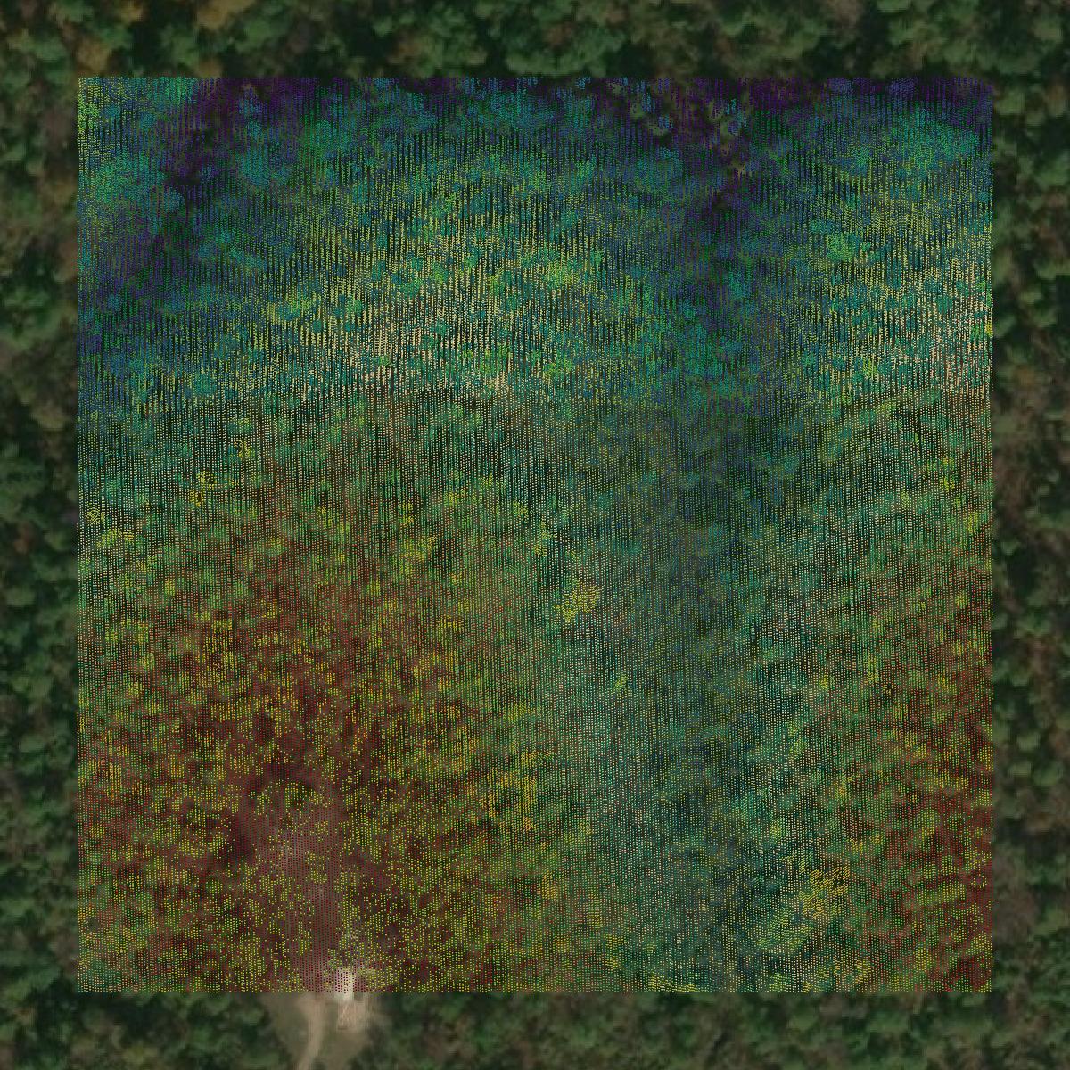 This image shows a LiDAR point cloud in Shannon County created using GIS data in Equator.