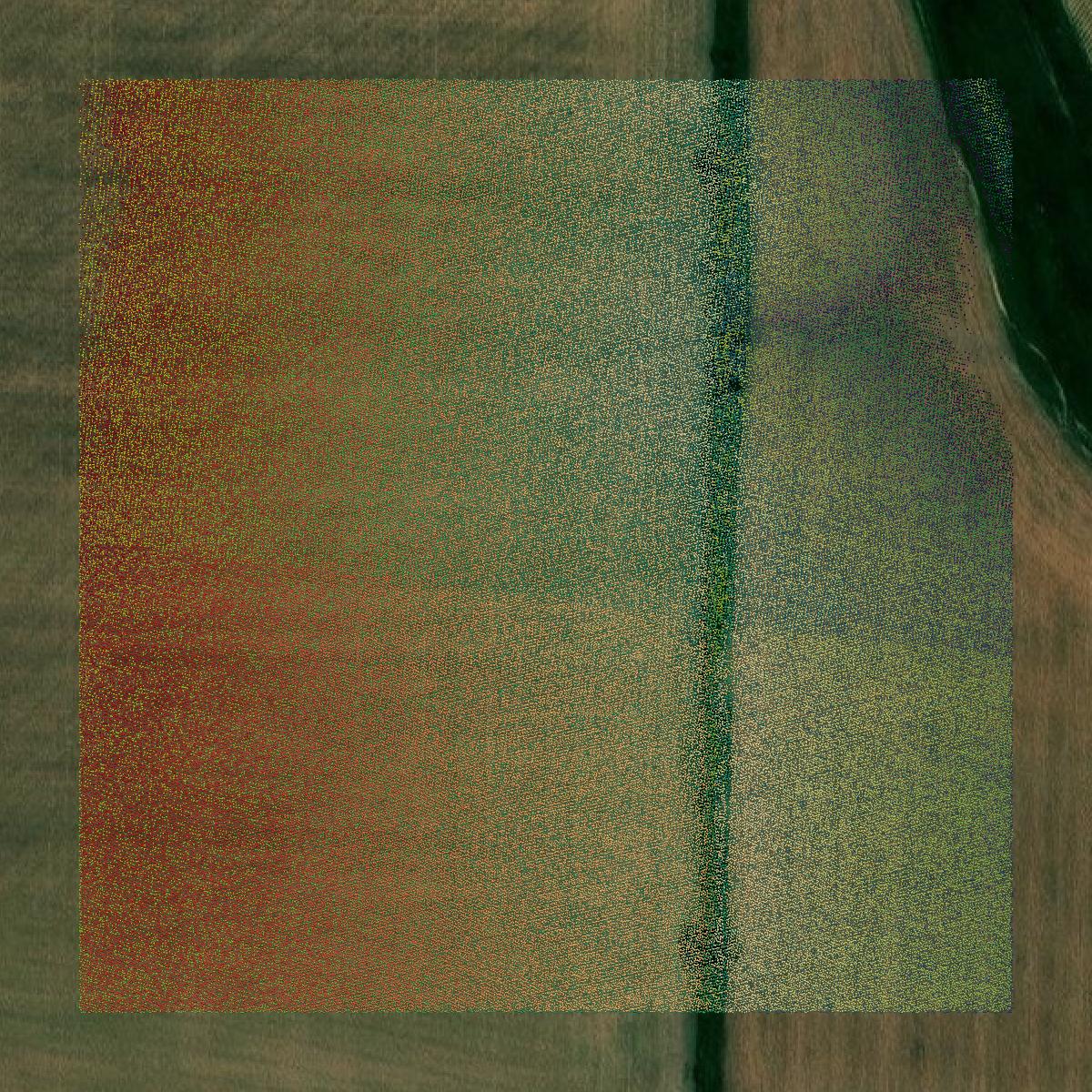 This image shows a LiDAR point cloud in Shelby County created using GIS data in Equator.