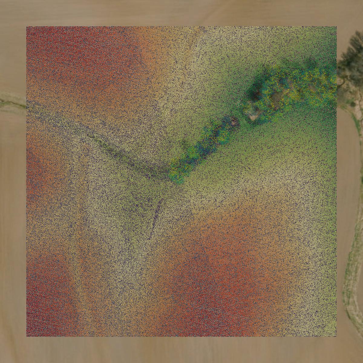 This image shows a LiDAR point cloud in Shelby County created using GIS data in Equator.