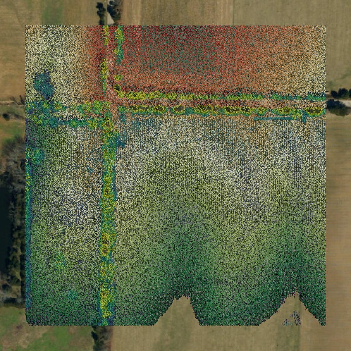 This image shows a LiDAR point cloud in St. Francois County created using GIS data in Equator.