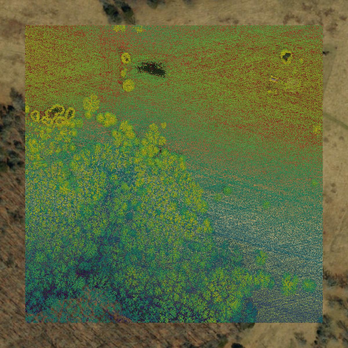This image shows a LiDAR point cloud in St. Francois County created using GIS data in Equator.