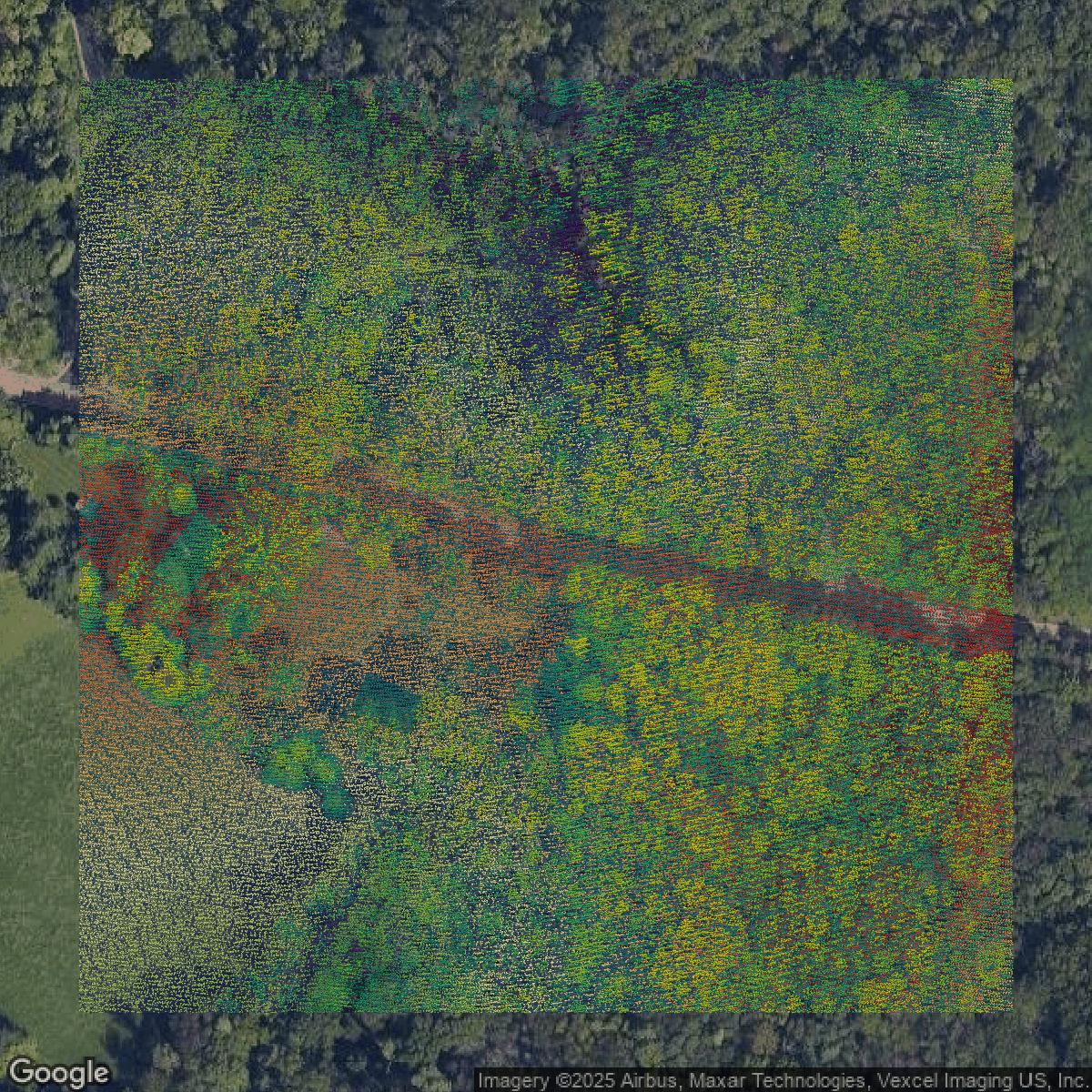 This image shows a LiDAR point cloud in St. Louis County created using GIS data in Equator.