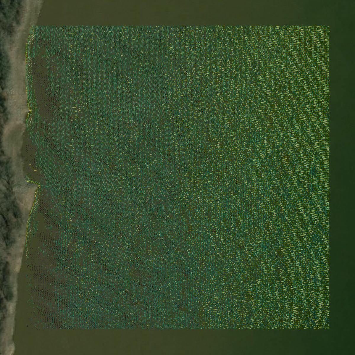 This image shows a LiDAR point cloud in St. Louis city created using GIS data in Equator.