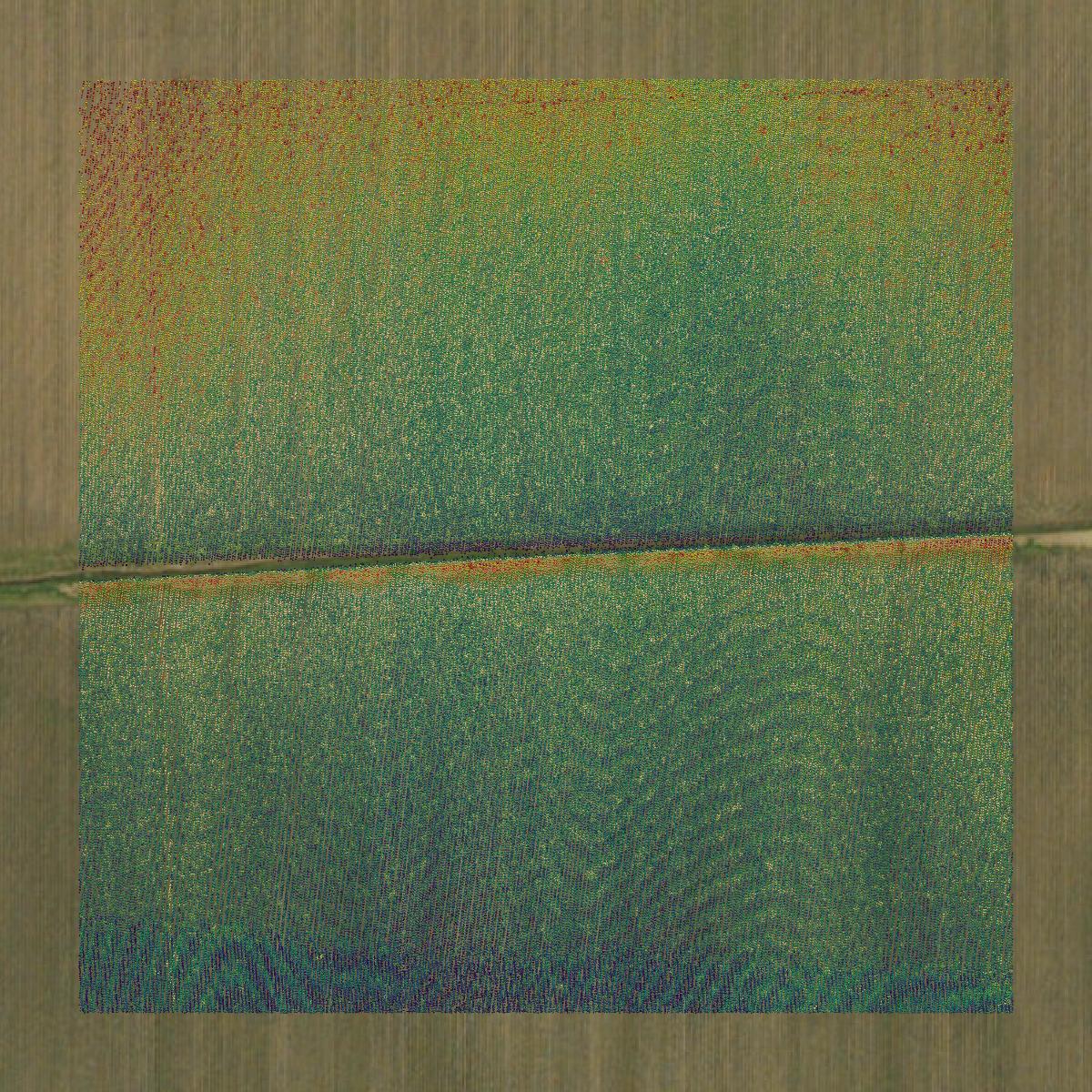 This image shows a LiDAR point cloud in Stoddard County created using GIS data in Equator.