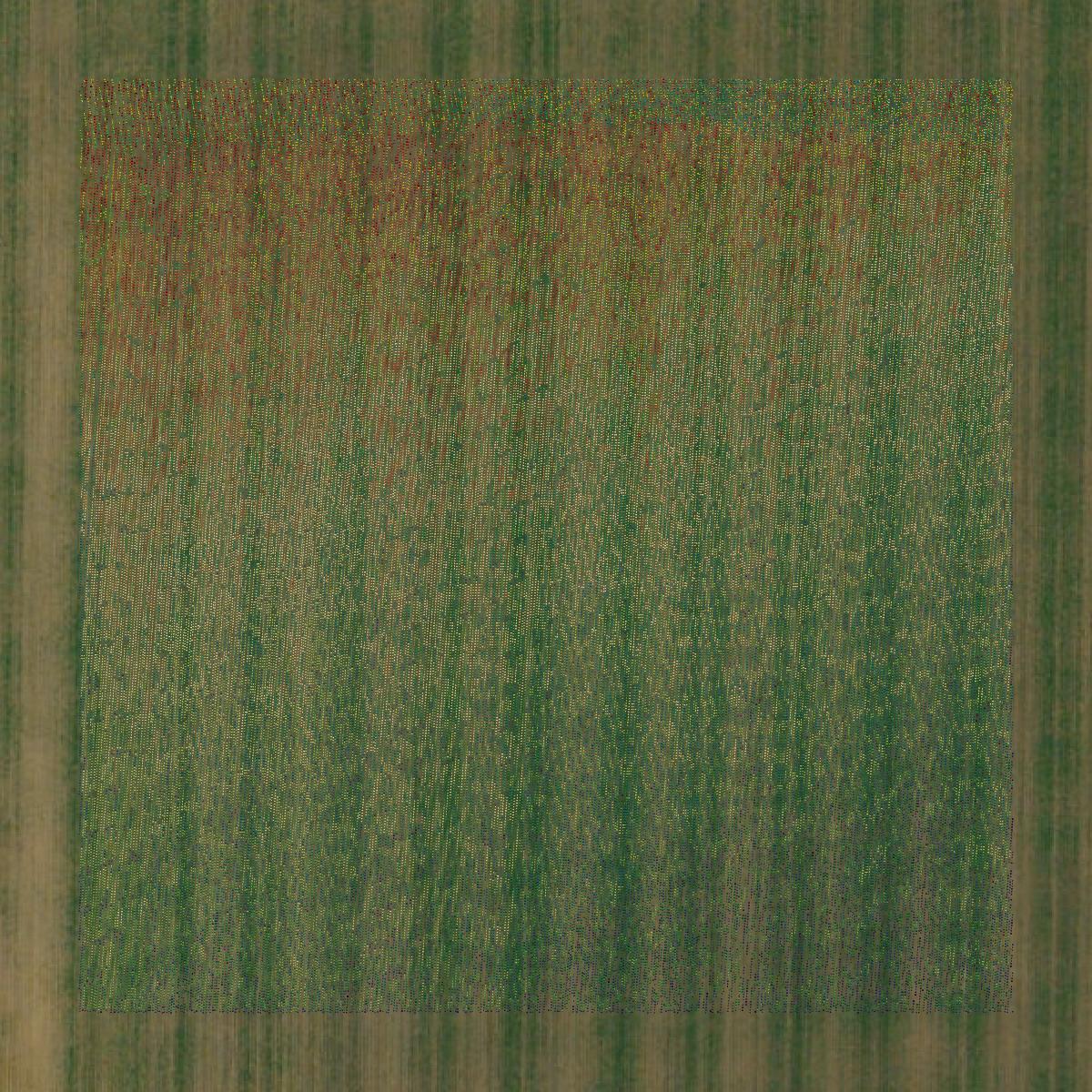 This image shows a LiDAR point cloud in Stoddard County created using GIS data in Equator.