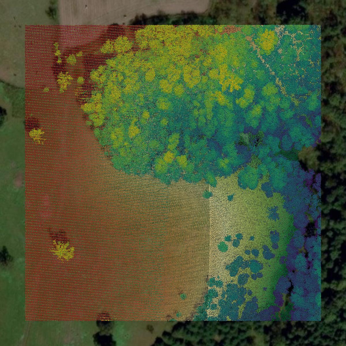 This image shows a LiDAR point cloud in Stone County created using GIS data in Equator.