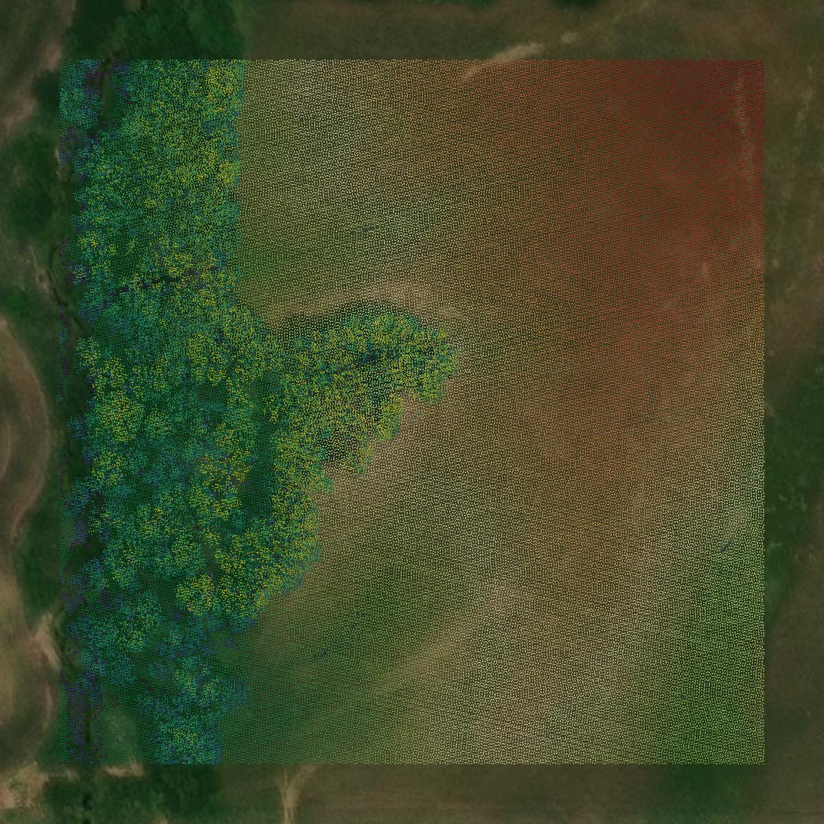 This image shows a LiDAR point cloud in Sullivan County created using GIS data in Equator.