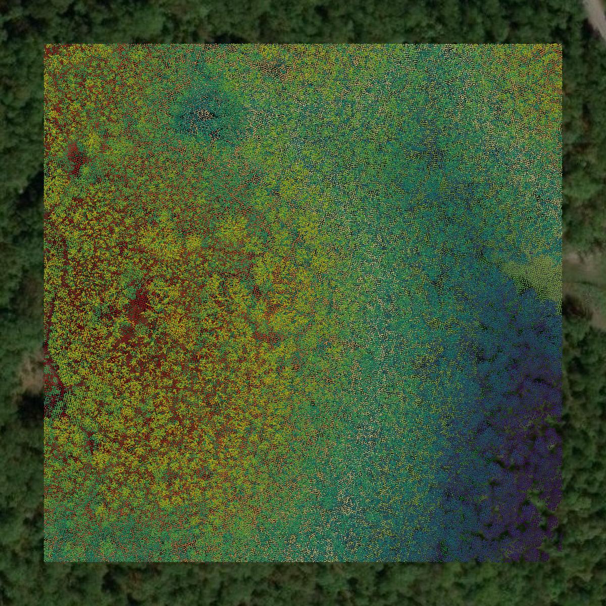 This image shows a LiDAR point cloud in Taney County created using GIS data in Equator.