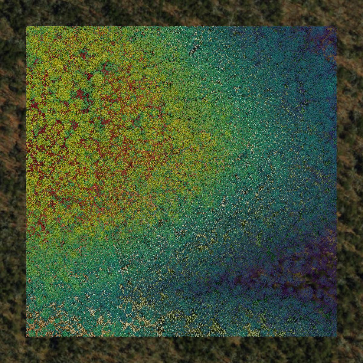 This image shows a LiDAR point cloud in Taney County created using GIS data in Equator.