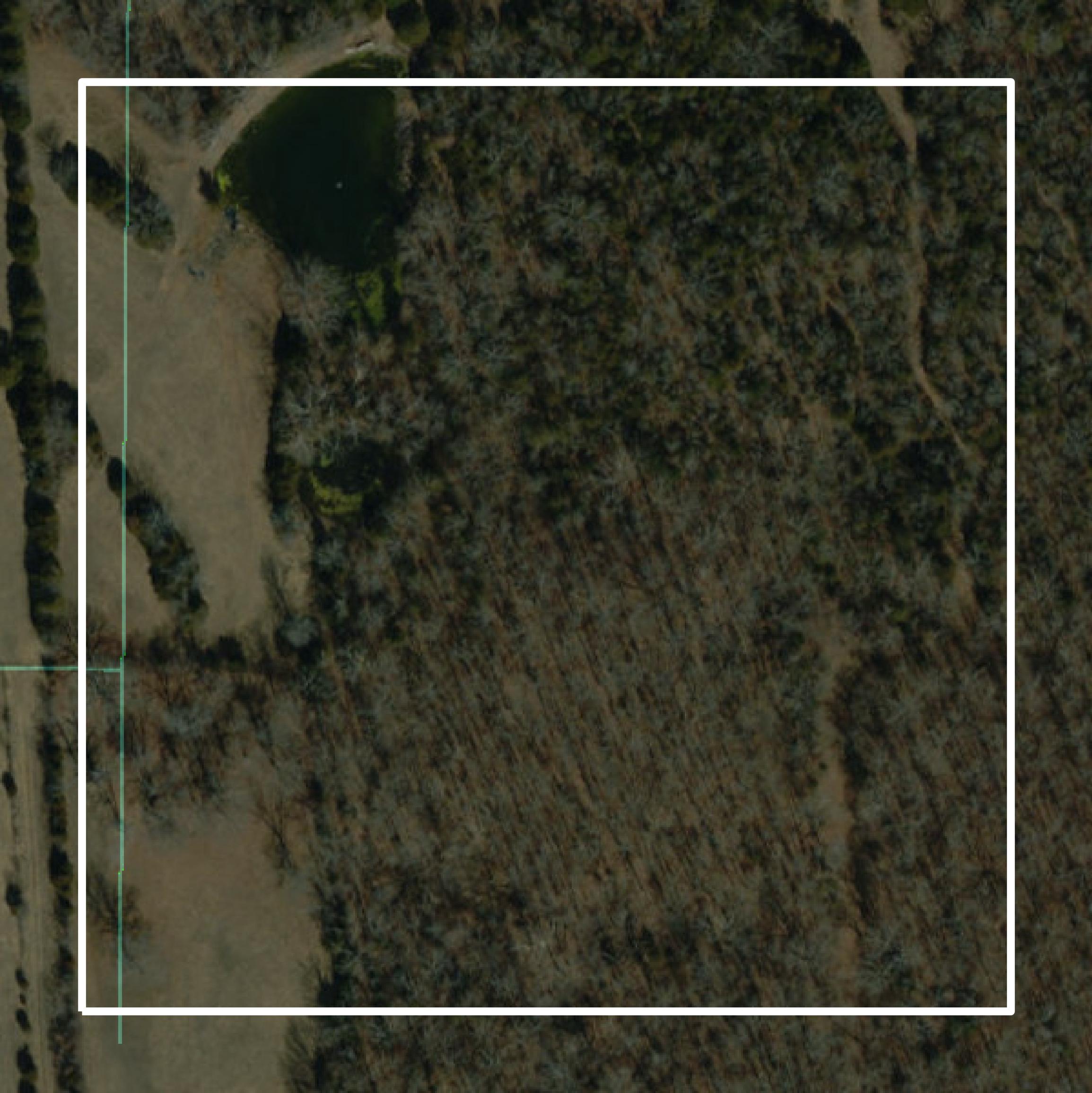 This image shows parcel and building data in Texas County created using GIS data in Equator.