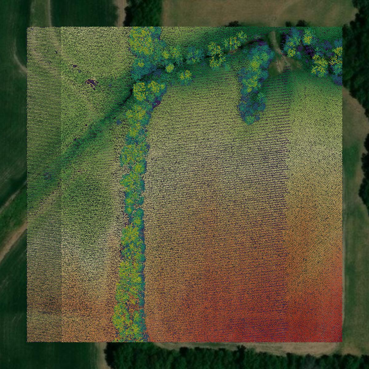 This image shows a LiDAR point cloud in Vernon County created using GIS data in Equator.