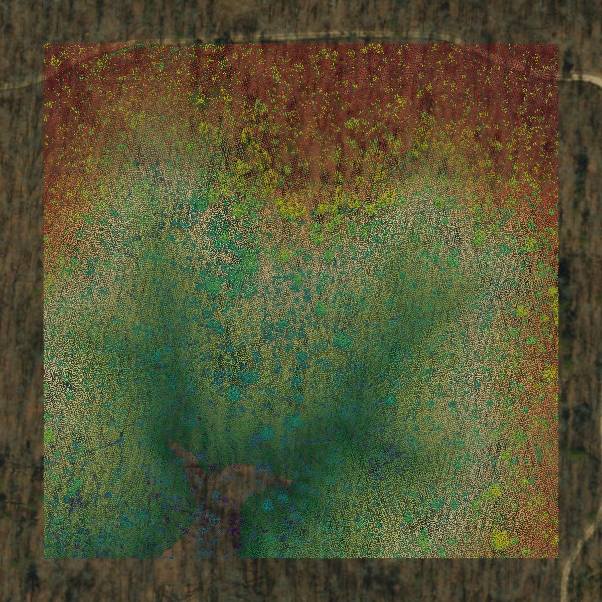 This image shows a LiDAR point cloud in Wayne County created using GIS data in Equator.