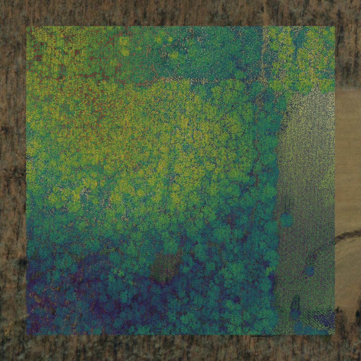 This image shows a LiDAR point cloud in Wayne County created using GIS data in Equator.