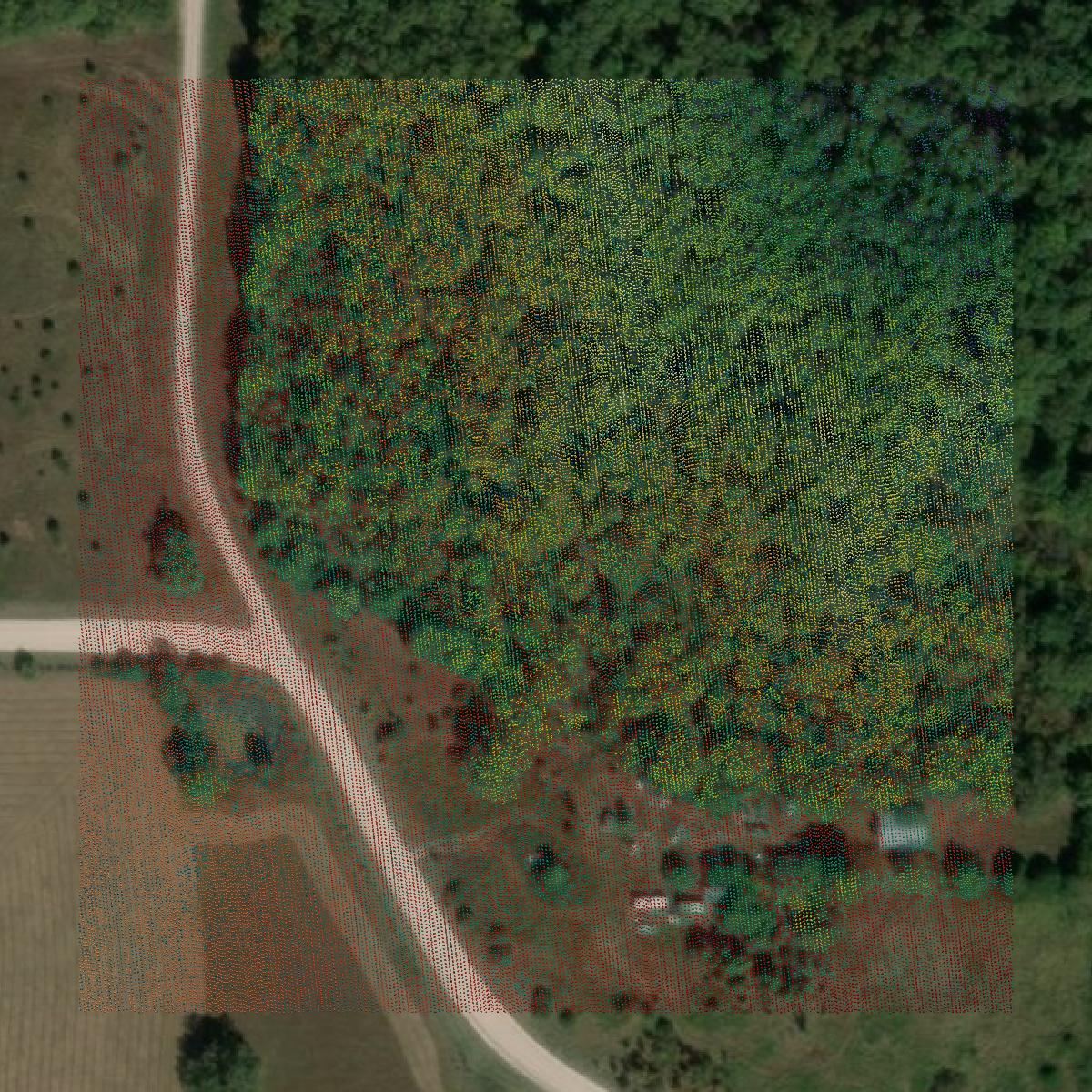 This image shows a LiDAR point cloud in Webster County created using GIS data in Equator.