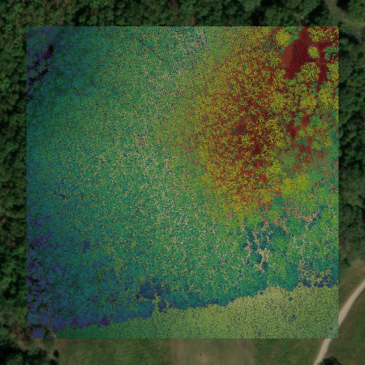This image shows a LiDAR point cloud in Webster County created using GIS data in Equator.