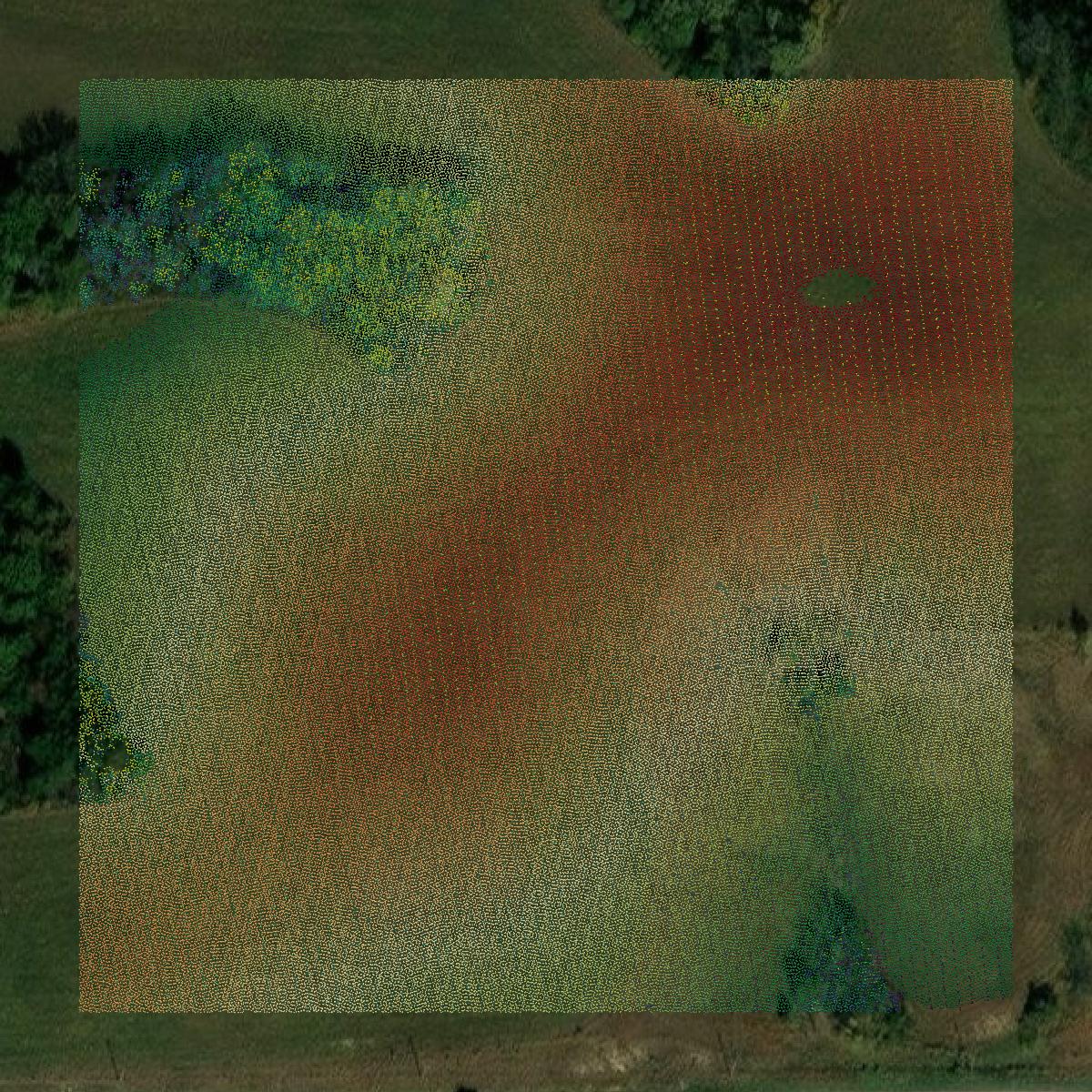 This image shows a LiDAR point cloud in Worth County created using GIS data in Equator.