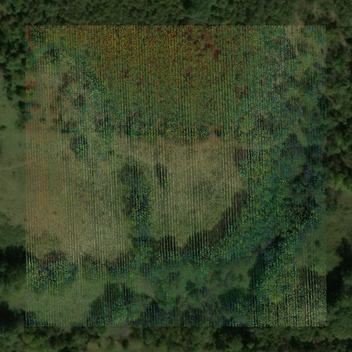 This image shows a LiDAR point cloud in Wright County created using GIS data in Equator.