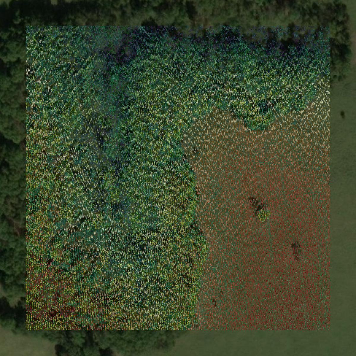 This image shows a LiDAR point cloud in Wright County created using GIS data in Equator.