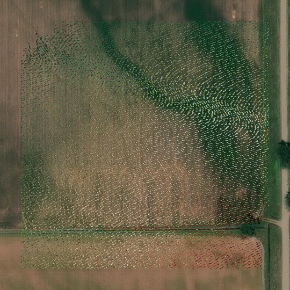 This image shows a LiDAR point cloud in Big Horn County created using GIS data in Equator.